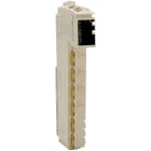 SCHNEIDER ELECTRIC - Modulo di distribuzione comune - 12×24 Vcc