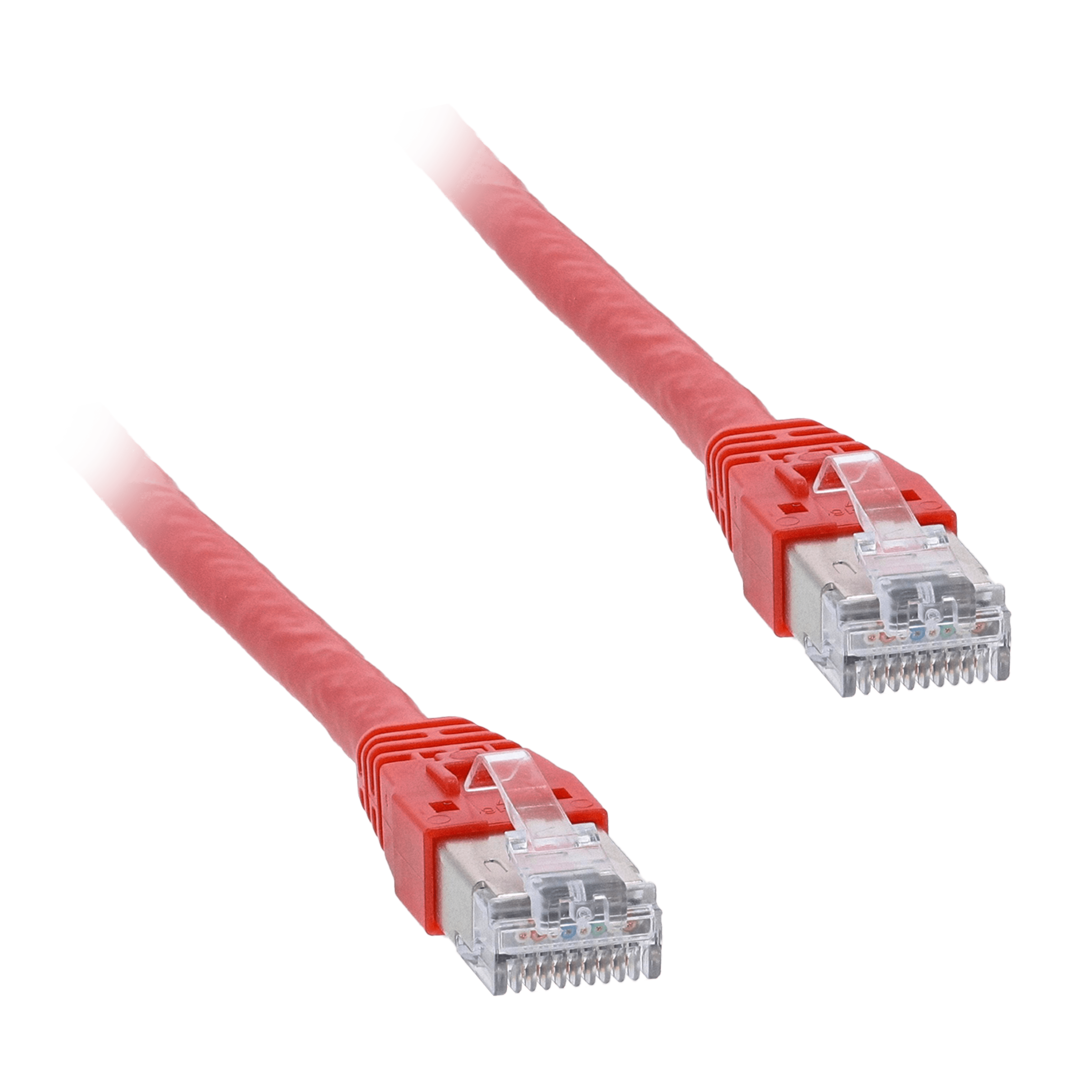 SCHNEIDER ELECTRIC - Cavo SERCOS III, 2 connettori RJ45, 40 m
