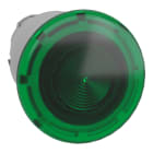 SCHNEIDER ELECTRIC - Testa pulsante luminoso Ø40 Ø22 - verde- per LED universale