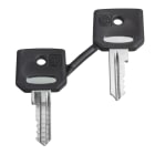 SCHNEIDER ELECTRIC - Chiave di ricambio, Harmony XB4, XB5 chiave 458A, set di 2 chiavi