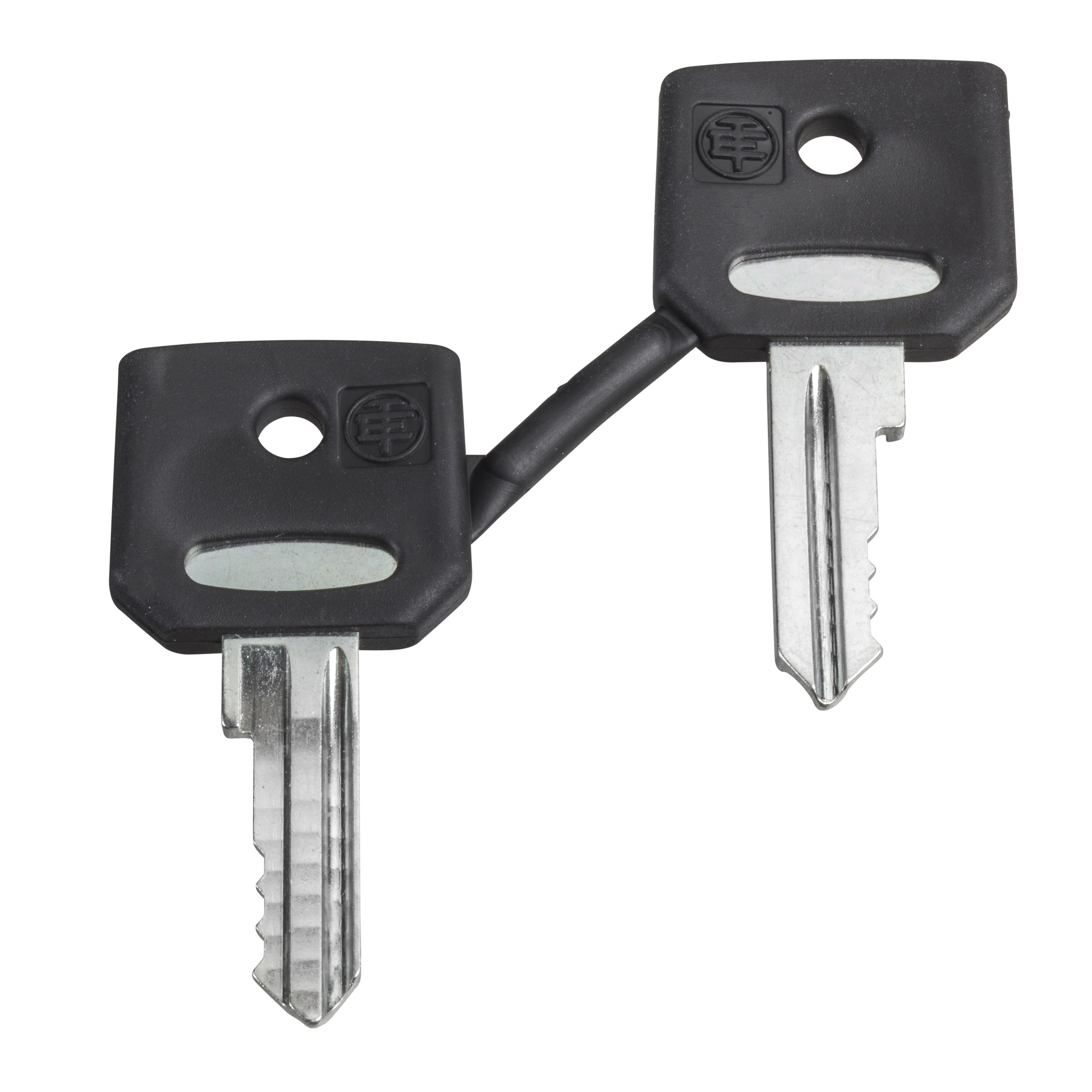 SCHNEIDER ELECTRIC - Chiave di ricambio SET 2 CHIAVI 520E