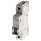 SIEMENS - Interruttore magnetotermico 240 V 14 kA, a 1 polo, C, 30 A, P=70 mm secondo UL 489