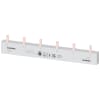 Miniatura Immagine principale 1