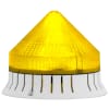 Miniatura Immagine principale 1