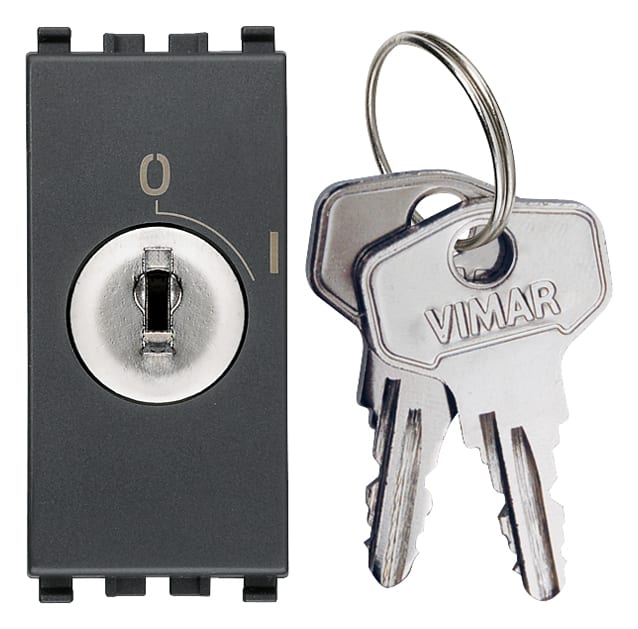 VIMAR - Pulsante 2P 16A +Chiave Grigio - 250V~ Estraibile Solo Posizione O
