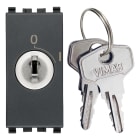 VIMAR - Pulsante 2P 16A +Chiave Grigio - 250V~ Estraibile Solo Posizione O