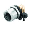Miniatura Immagine principale 1