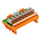 WEIDMULLER - Modulo a relè, 24 V DC, LED giallo, 8 Contatto di scambio (AgNi 90/10) , 250 V AC, 6 A, Collegamento a vite