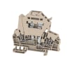 Miniatura Immagine principale 1