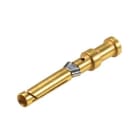 WIELAND ELECTRIC - CONTATTO FEMMINA 0,14-0,37QMM