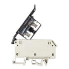 WIELAND ELECTRIC - MORS. X FUSIBILE WK 4/THSI6,3 GL 500U/V0
