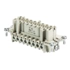 WIELAND ELECTRIC - INSERTO FEMMINA  BAS BUS    16 2,5 50 AG