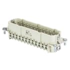 WIELAND ELECTRIC - INSERTO MASCHIO  BAS STS    24 2,5 50 AU