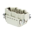 WIELAND ELECTRIC - INSERTO MASCHIO  BAS STP    10 2,5 50 AG