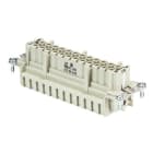 WIELAND ELECTRIC - INSERTO FEMMINA  BAS BUF SB 24 2,5 50