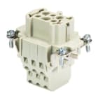 WIELAND ELECTRIC - INSERTO FEMMINA  BAS BUM     6 2,5 50 AG