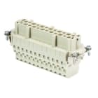 WIELAND ELECTRIC - INSERTO FEMMINA  BAS BUM    24 2,5 50 AG