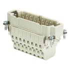 WIELAND ELECTRIC - INSERTO MASCHIO  BAS STM    16 2,5 50 AG