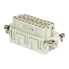 WIELAND ELECTRIC - INSERTO FEMMINA  BAS BUCK   32     50 PC
